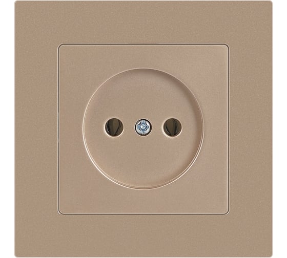 Розетка Intro Accent 620104 2P, 16А250В, IP20, скрытой установки, шампань Б0063663
