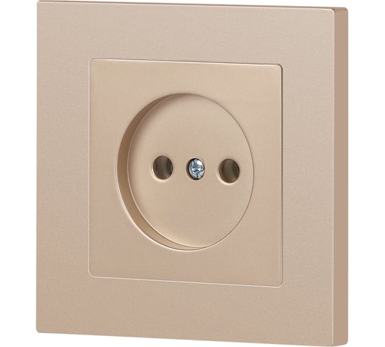 Розетка Intro Accent 620104 2P, 16А250В, IP20, скрытой установки, шампань Б0063663