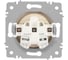 Розетка Intro Accent 620104 2P, 16А250В, IP20, скрытой установки, шампань Б0063663 3
