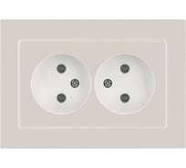 Розетка Intro Accent 620406 2x2P, 16А250В, IP20, скрытой установки, AL/CU, перламутр Б0063446