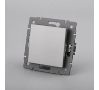 Механизм выключателя одноклавишный Arlight самовозвратный SWT-MKR1-PL-GR-V 1шт 0 049881