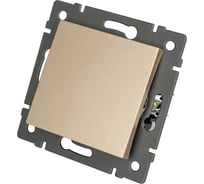 Механизм выключателя одноклавишный Arlight самовозвратный SWT-MKR1-PL-GD-V 1шт 0 049882