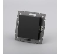 Механизм выключателя одноклавишный Arlight самовозвратный SWT-MKR1-PL-BK-V 1шт 0 049880