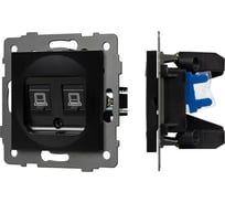 Механизм компьютерной розетки Arlight двойной SCT-MPC2-PL-BK-V 1шт 0 049853