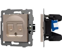 Механизм компьютерной розетки Arlight двойной SCT-MPC2-PL-GD-V 1шт 0 049850