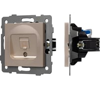 Механизм компьютерной розетки Arlight SCT-MPC1-PL-GD-V 1шт 0 049849