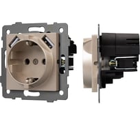 Механизм розетки с USB зарядкой Arlight SCT-MUAC-PL-GD-V 1шт 049832