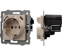 Механизм розетки с USB зарядкой Arlight SCT-MUAA-PL-GD-V 1шт 049821