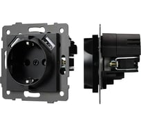 Механизм розетки с USB зарядкой Arlight SCT-MUAA-PL-BK-V 1шт 0 049819