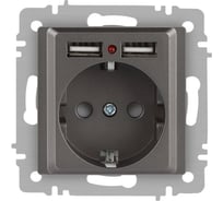 Розетка Intro Accent 6-410-09 PE Schuko со шторками, 16А250В 2хUSB, IP20, СУ, титан Б0063711