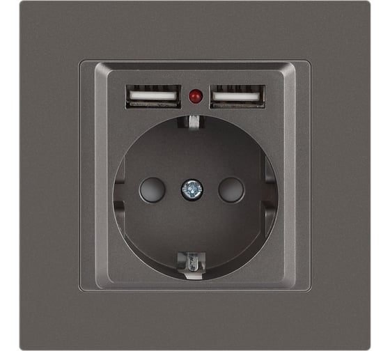 Розетка Intro Accent 6-410-09 PE Schuko со шторками, 16А250В 2хUSB, IP20, СУ, титан Б0063711