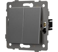 Механизм выключателя двухклавишный проходной Arlight SWT-MKP2-PL-GR-V 1шт 0 049894