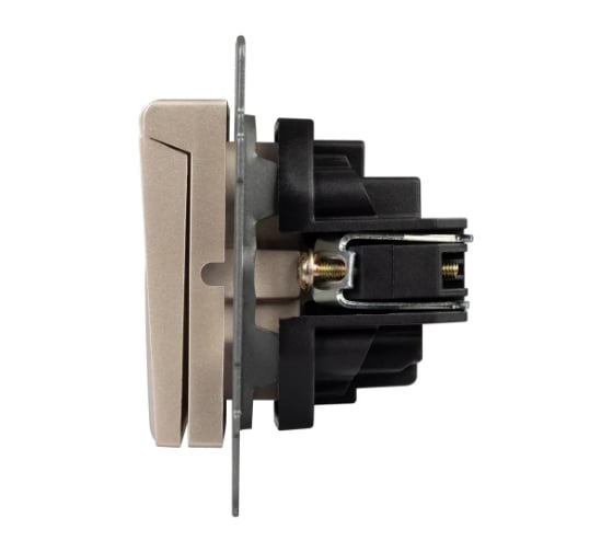 Механизм розетки влагозащищенный Arlight SCT-MCP-PL-GD-V 1шт 0 49837