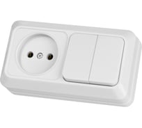 Комбинированный блок TDM ELECTRIC выключатель 2-клавишный 10А + розетка 2П 10А 250В БКВР IP20 белый "Ладога" SQ1801-0106