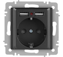 Розетка Intro Accent 641007 PE Schuko со шторками, 16А 250В 2хUSB, IP20, СУ, графит Б0063702