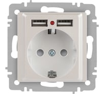 Розетка Intro Accent 641006, PE Schuko со шторками, 16А 250В 2хUSB, IP20, СУ, перламутр Б0063700