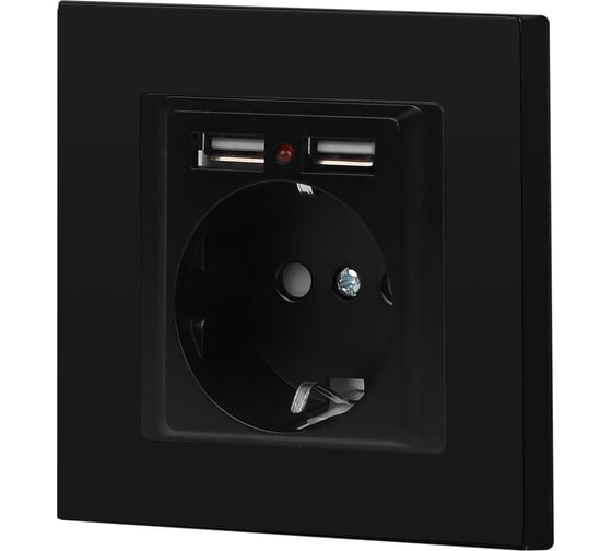 Розетка Intro Accent 641005, PE Schuko со шторками, 16А 250В 2хUSB, IP20, СУ, антрацит Б0063698
