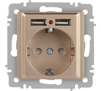 Розетка Intro Accent 641004, PE Schuko со шторками, 16А 250В 2хUSB, IP20, СУ, шампань Б0063696
