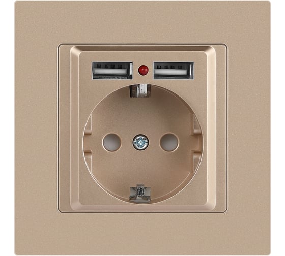 Розетка Intro Accent 641004, PE Schuko со шторками, 16А 250В 2хUSB, IP20, СУ, шампань Б0063696