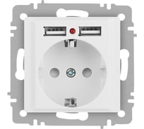 Розетка Intro Accent 641001М, PE Schuko со шторками, 16А 250В 2хUSB, IP20, СУ, белый матовый Б0063691