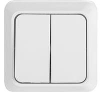 Выключатель двухклавишный General Lighting Systems открытой установки, накладной, IP20, 10А - 250В, белый серия "Альфа", упаковка 10 штук 477002