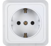 Розетка одноместная General Lighting Systems 2П+З открытой установки, накладная, с заземлением, IP20, 10А, 250В, керамика, белая, серия "Альфа, упаковка 10 штук 477007