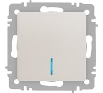 Выключатель Intro Accent 610206 с подсветкой, 10А250В, IP20, СУ, AL/CU, перламутр Б0063467