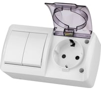 Блок TDM ELECTRIC выключатель 2-клавишный 10А + розетка 2П+З 16А с защитными шторками, с прозрачной крышкой, упаковка 5 штук, IP54 белый "Селигер" SQ1818-0023