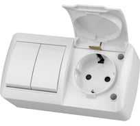 Блок TDM ELECTRIC выключатель 2-клавишный. 10А + розетка 2П+З 16А с защитными шторками, с крышкой, упаковка 5 штук, IP54 белый "Селигер" SQ1818-0022