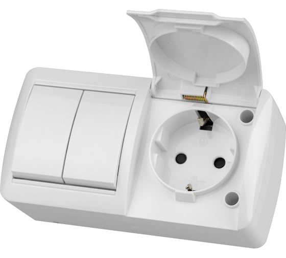 Блок TDM ELECTRIC выключатель 2-клавишный. 10А + розетка 2П+З 16А с защитными шторками, с крышкой, упаковка 5 штук, IP54 белый "Селигер" SQ1818-0022 1