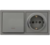 Выключатель с подсветкой и розетка Lezard LETO с/з, платина горизонталь 752-3500-170BIP