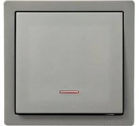 Выключатель Lezard LETO с подсветкой, платина 752-3500-111