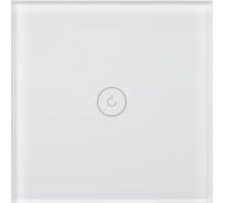 Выключатель сенсорный Arlight SWT-OMALI-S01-ZB-WH 1шт 0 050035