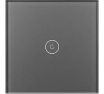 Выключатель сенсорный Arlight SWT-OMALI-S01-ZB-GR 1шт 0 050036