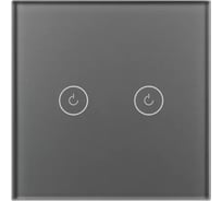 Выключатель сенсорный Arlight SWT-OMALI-S02-ZB-GR 1шт 0 050039