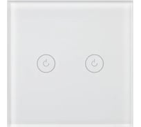 Выключатель сенсорный Arlight SWT-OMALI-S02-ZB-WH 1шт 0 50041