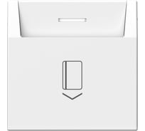 Выключатель карточный Systeme Electric ARTGALLERY 10А, без задержки времени, быстр.клемм., ЛОТОС GAL001314S