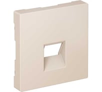 Накладка Systeme Electric ATLASDESIGN для информационных функций типа Keystone, БЕЖЕВЫЙ ATN000284