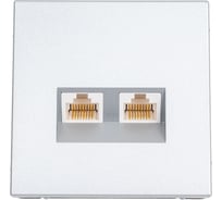 Розетка двойная компьютерная Systeme Electric ARTGALLERY RJ45+RJ45, кат. 5е, механизм, АЛЮМИНИЙ GAL000385