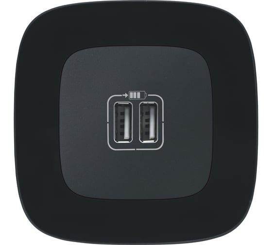 2-местная USB розетка Legrand Valena ALLURE Антрацит 240В/5В 1500мА с лицевой панелью 754998
