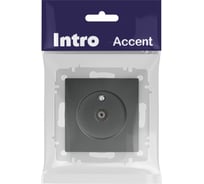 Розетка Intro Accent 630107 TV одиночная, IP20, СУ, графит Б0063614