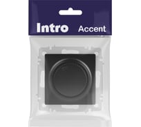 Светорегулятор Intro Accent 640105 поворотный, 600Вт 230В, IP20, СУ, антрацит Б0063679