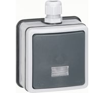 Однополюсный переключатель Legrand на два направления 10 А Программа Plexo IP 66 IK 08 моноблоки серый 090460