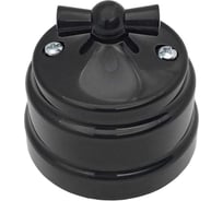 Выключатель Bylectrica 1-кл.- 2-кл. поворотный (10А) ОУ серия РЕТРО, черный А510-2292 черный