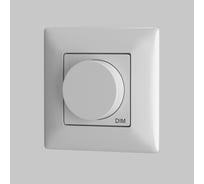 Роторная беспроводная панель управления Maytoni RWCP00106002 711012