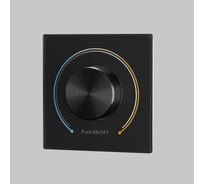 Роторная панель управления Maytoni RCP01002042 721036