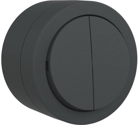 Выключатель OVIVO 2-клавишный X-One IP 54, антрацит, комплект из 2 шт 406-250000-202