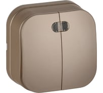 Выключатель 2-клавишный с индикацией IEK GLORY о/у 10А ВС20-2-1-ХШм шампань матовый EVH21-K37M-10