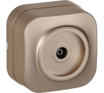 Розетка TV IEK GLORY о/у РТВ20-ХШм шампань матовый EAH10-K37M