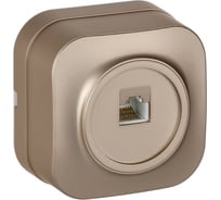 Розетка компьютерная IEK GLORY RJ45 кат.5E о/у РК10-ХШм шампань матовый EKH10-K37M